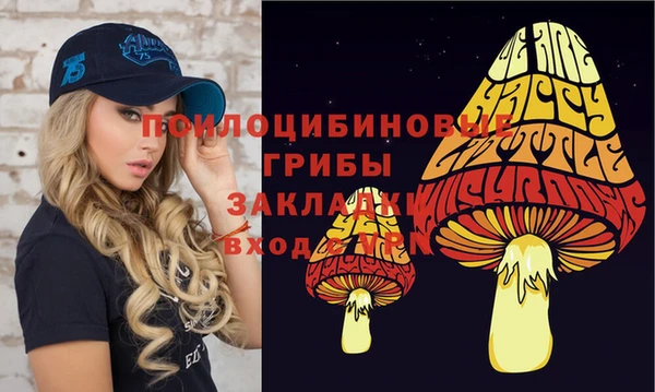 сатива Бронницы